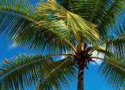 手机号码轰炸app免费